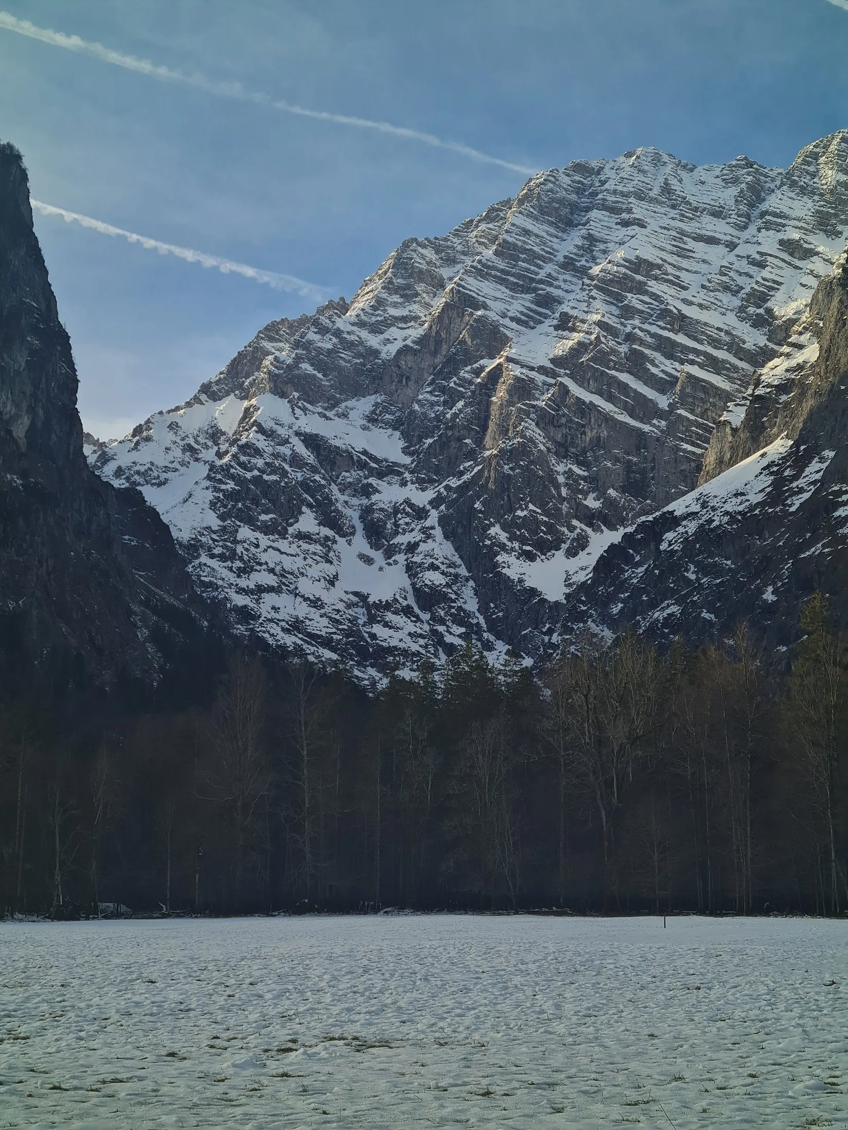 Snow peaks above a frozen lake and a line of pines