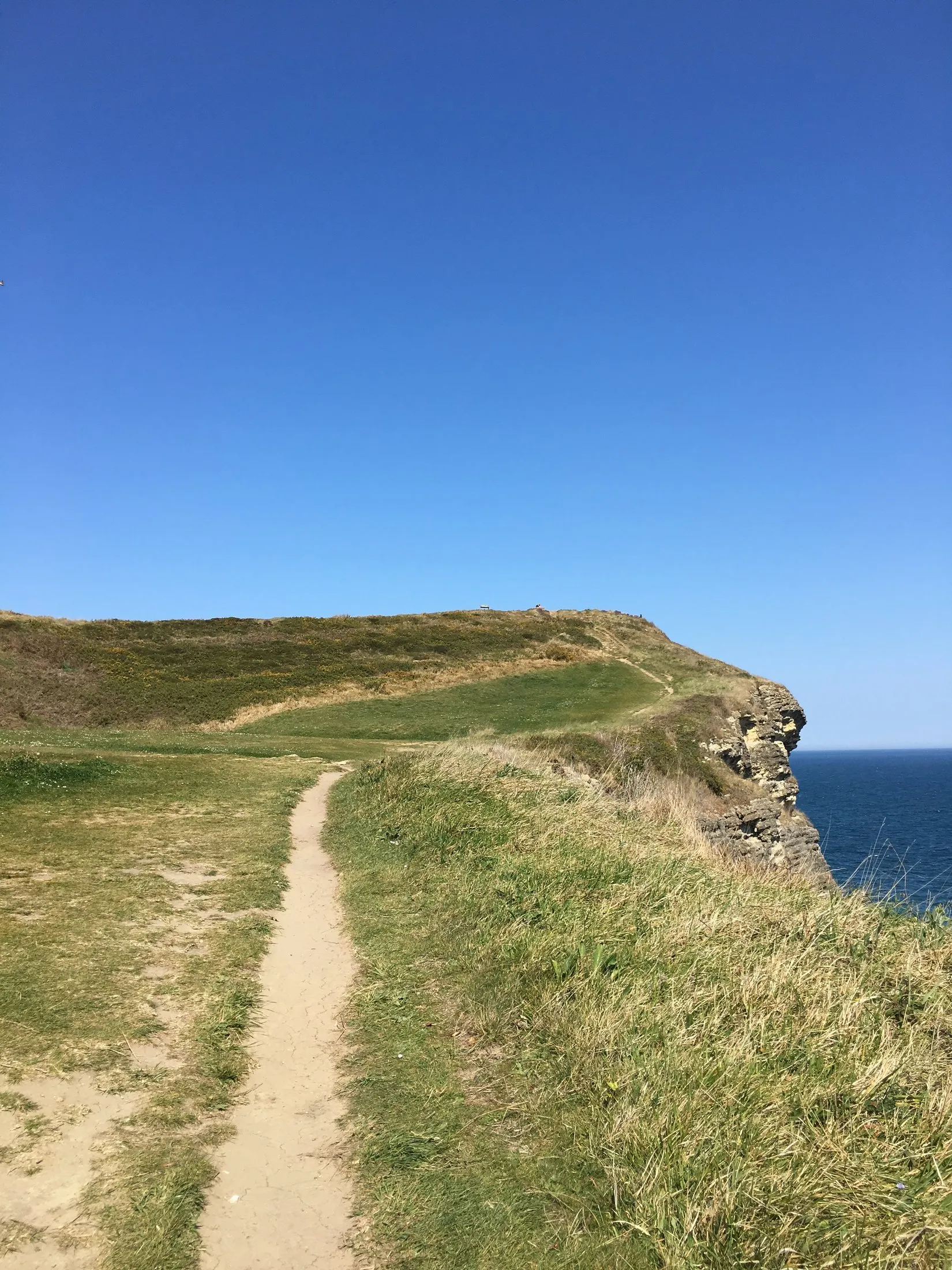 A cliff path in grass beside the sea