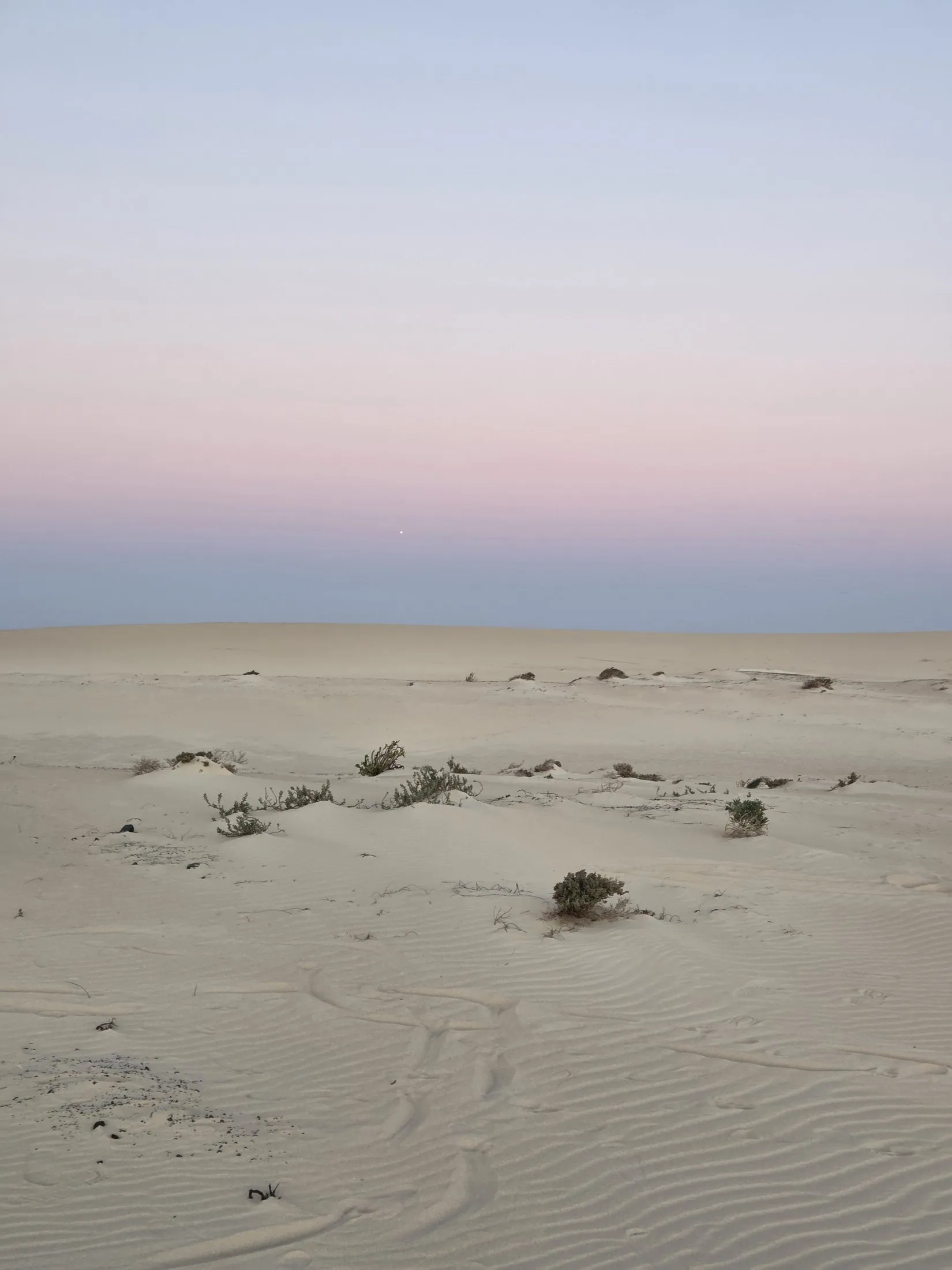 Sand dunes at dusk with a pale pink sky