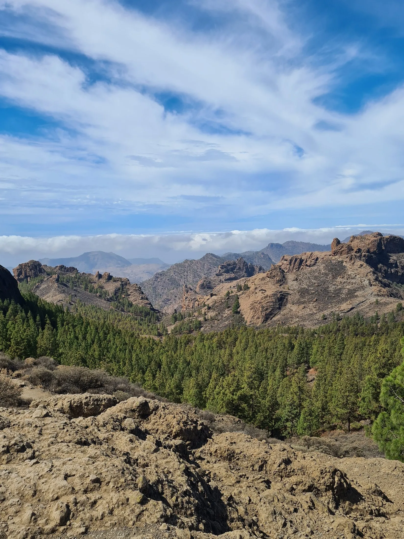 Pine forest and distant ridges around Roque Nublo