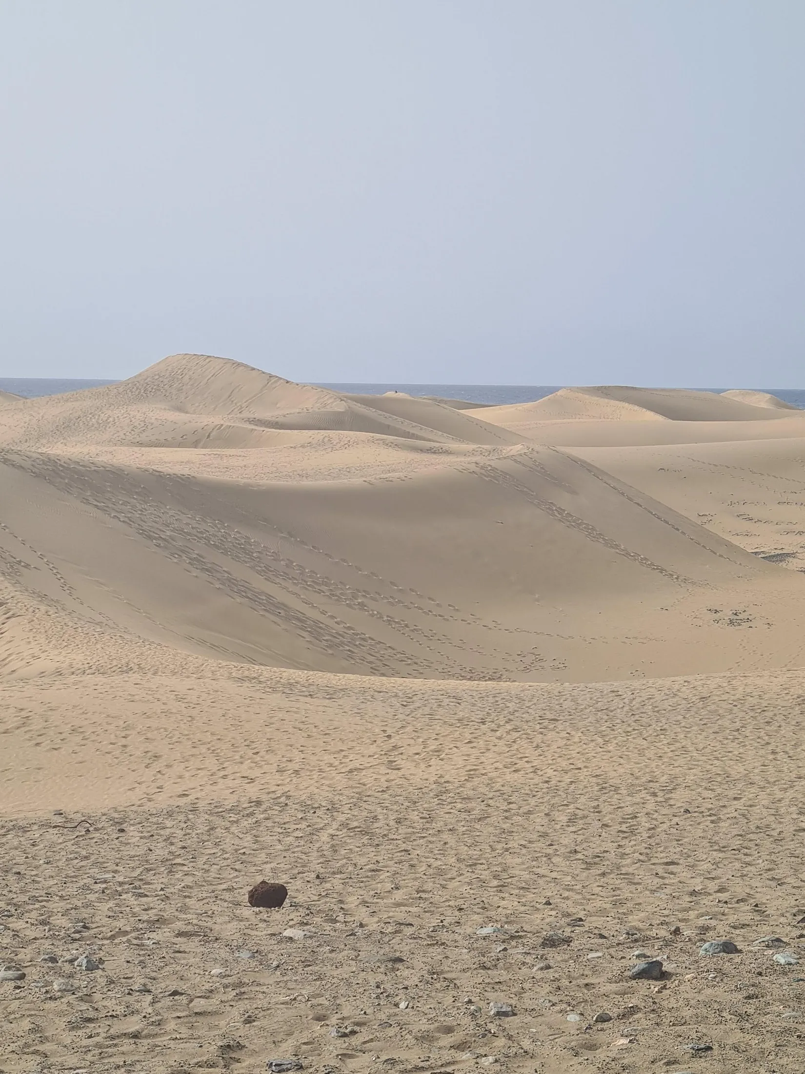 Bare sand dunes under a pale sky