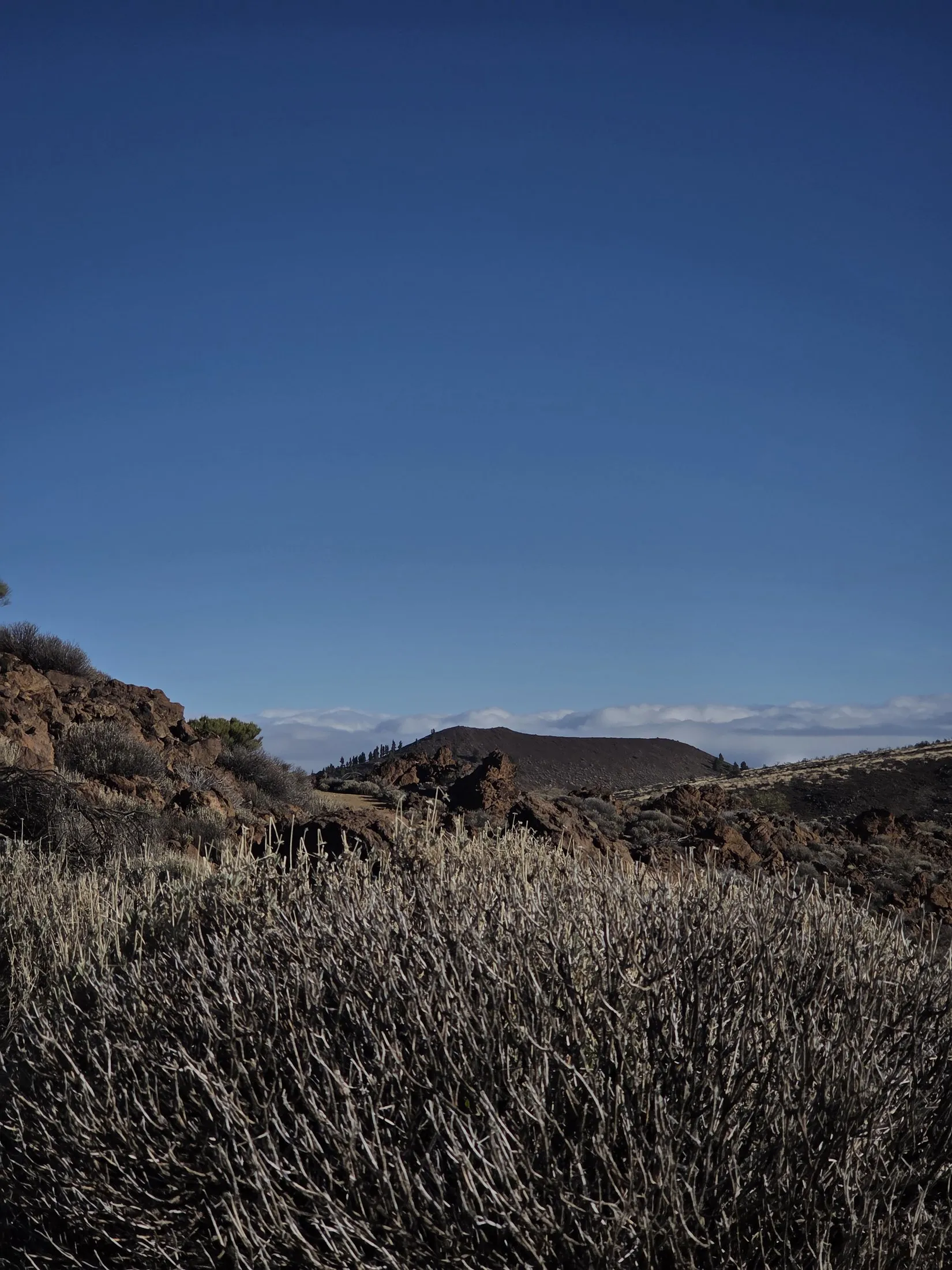 A dry volcanic slope under a hard blue sky