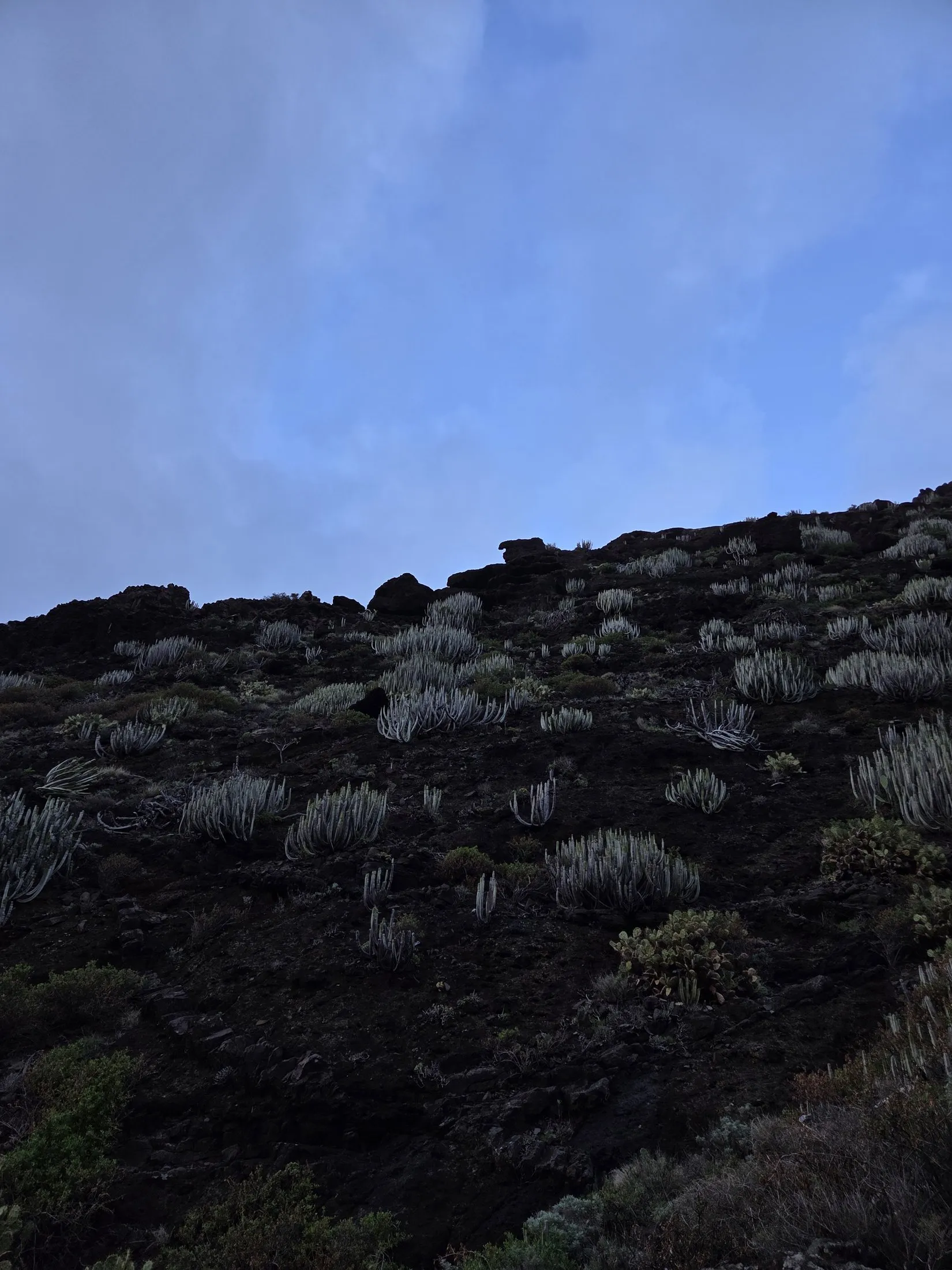 Black lava and sparse green on a dark slope