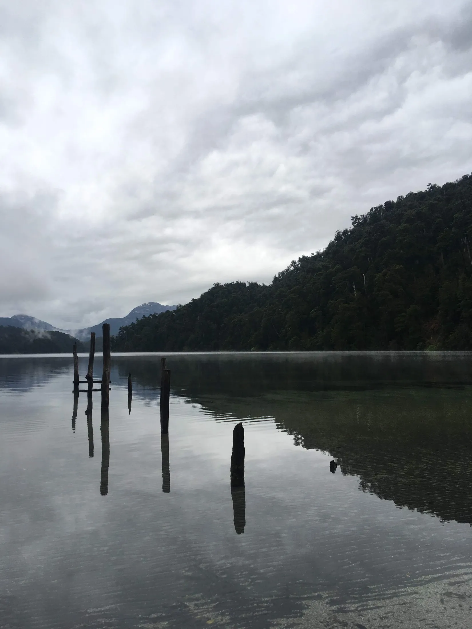 Wooden posts in still water under a dark ridge
