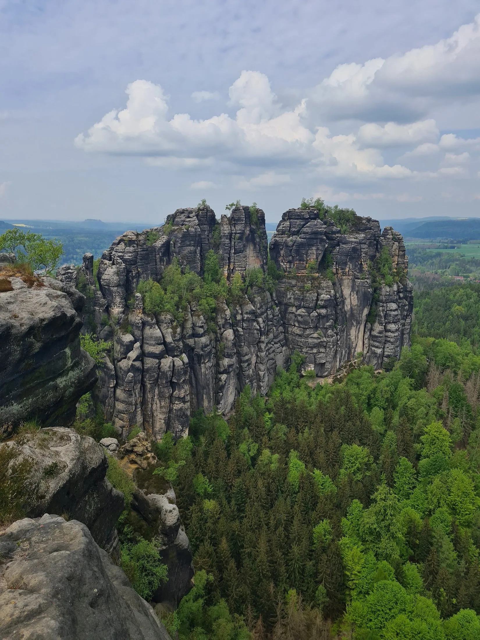 Sandstone towers rising from spring forest