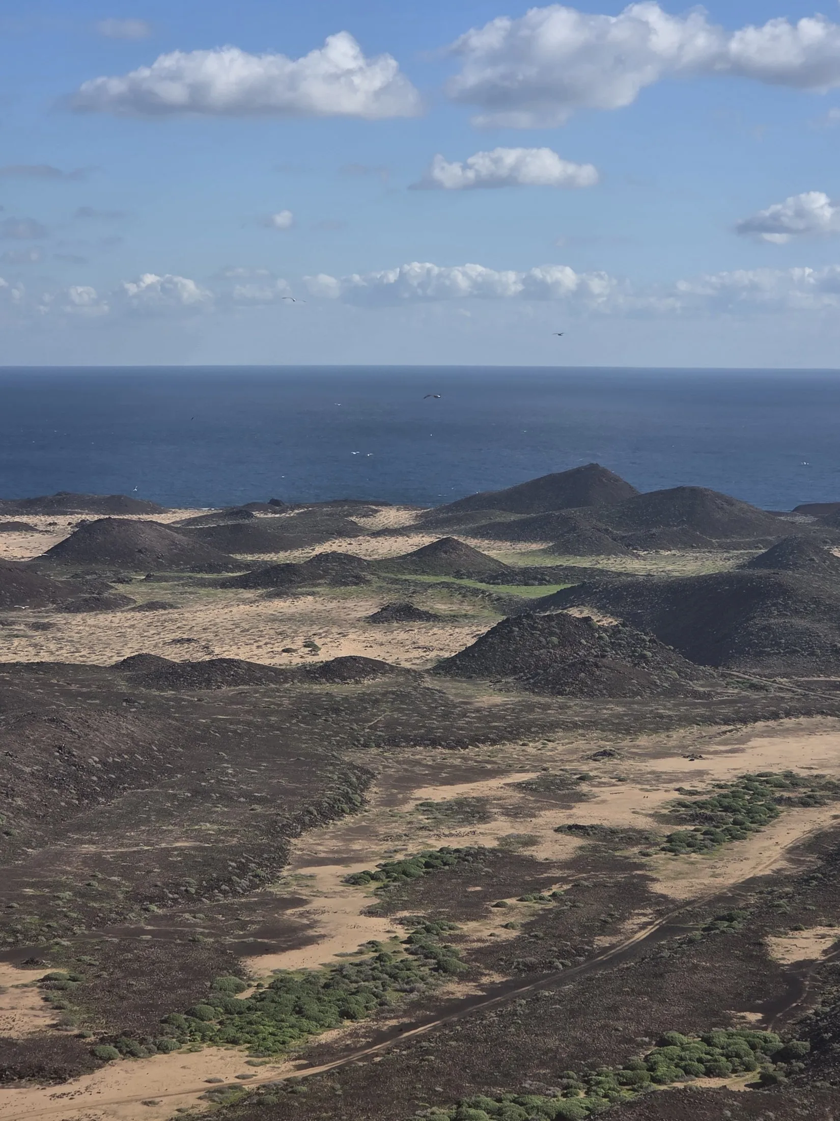 Volcanic cones and scrubland running to the sea